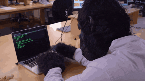 giphy-coding.gif